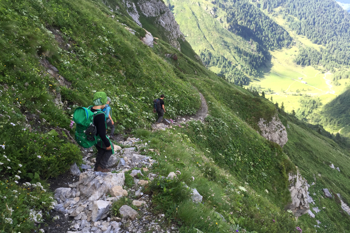 58GradNord - Karnischer Höhenweg - Abstieg zum Hochweißsteinhaus