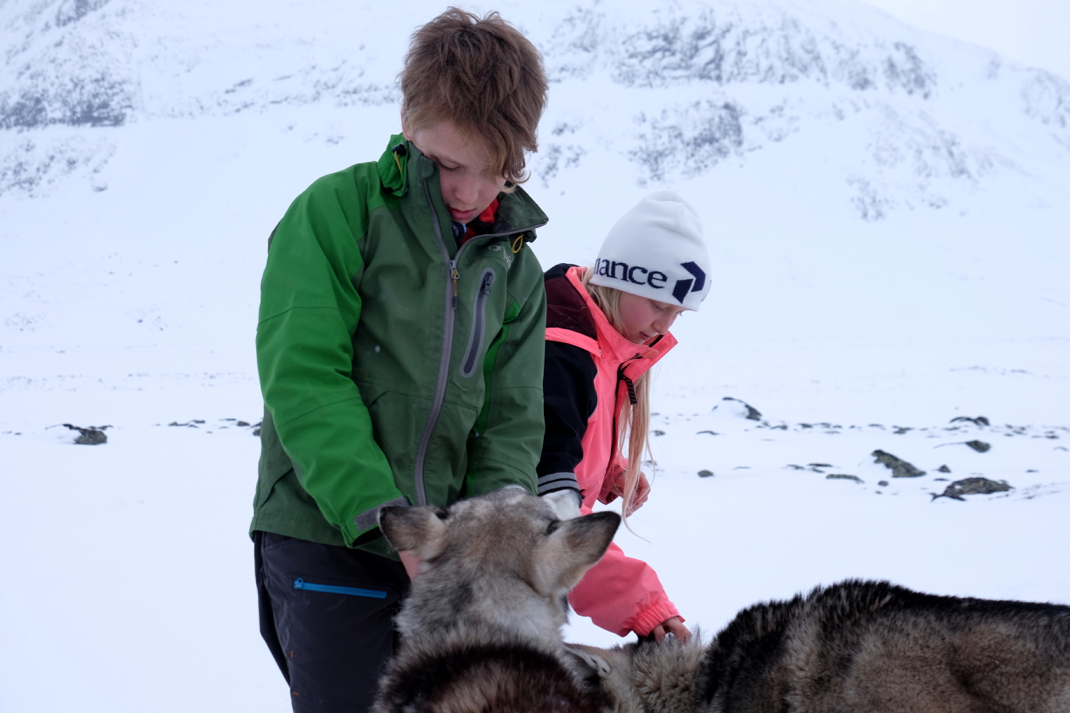 58 Grad Nord - Kungsleden im Winter - Huskies und Kinder