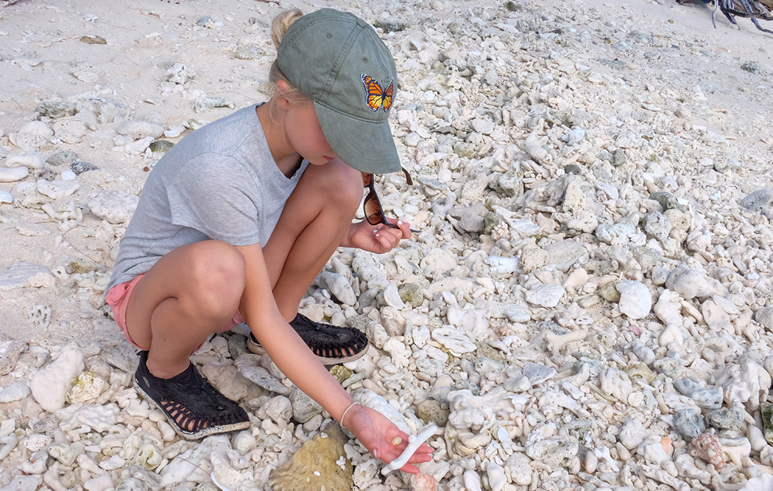 58GradNord Australien mit Kindern - Great Barrier Reef - Lady Musgrove Island - Korallenstrand